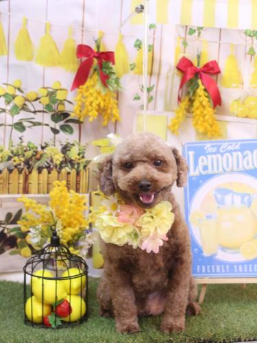 20240418くぅくん